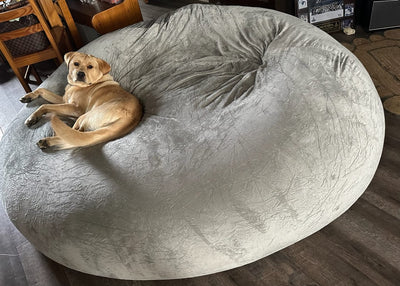 What to Look For In An Eco-Friendly Bean Bag Chair?