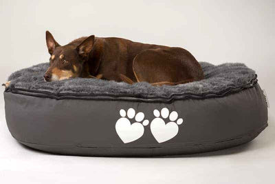 Why dog bean bags are the best way to pampering your fur friend?