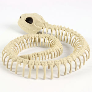 Halloween Decoration Artificial Animal Skeleton - BRANDNMART