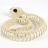 Halloween Decoration Artificial Animal Skeleton - BRANDNMART