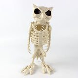 Halloween Decoration Artificial Animal Skeleton - BRANDNMART