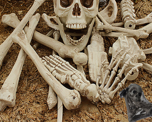 Halloween Skeleton Bones 28pcs Halloween Prop Skeleton Skull Haunted House Horror Accessory Party Decorations Tricky Bones Skull - BRANDNMART