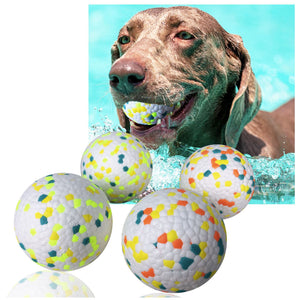 Playful Pup Dog Ball - BRANDNMART