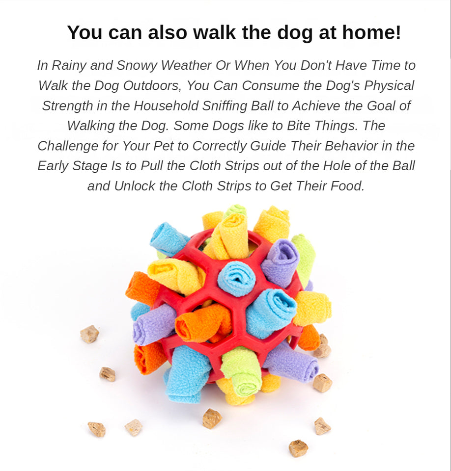 Snuffle Puzzle Ball - BRANDNMART