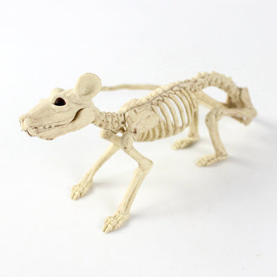 Halloween Decoration Artificial Animal Skeleton - BRANDNMART