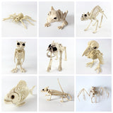 Halloween Decoration Artificial Animal Skeleton - BRANDNMART