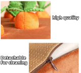 Sniffable Carrot Toy - BRANDNMART