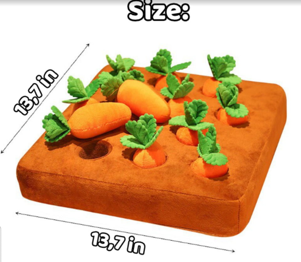 Sniffable Carrot Toy - BRANDNMART