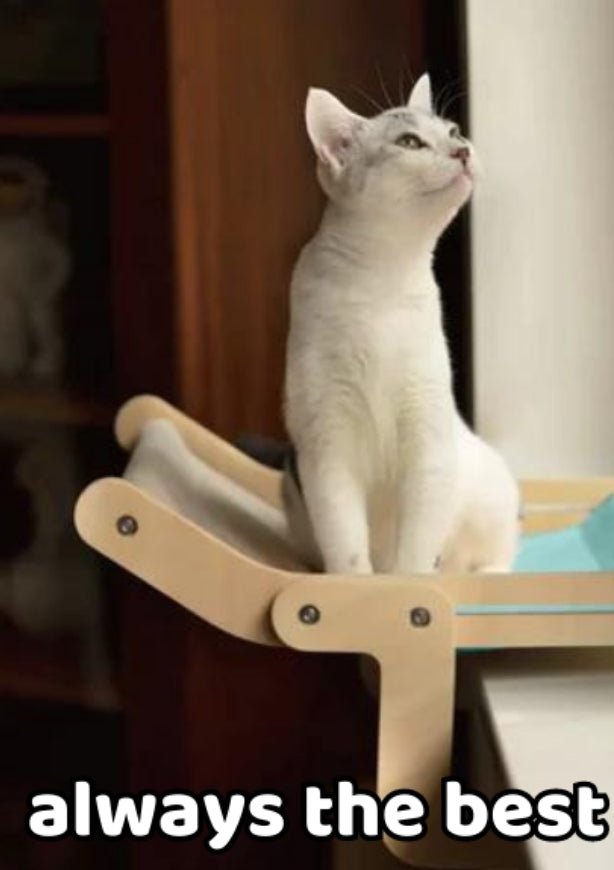 Cat lounge - hammock - BRANDNMART