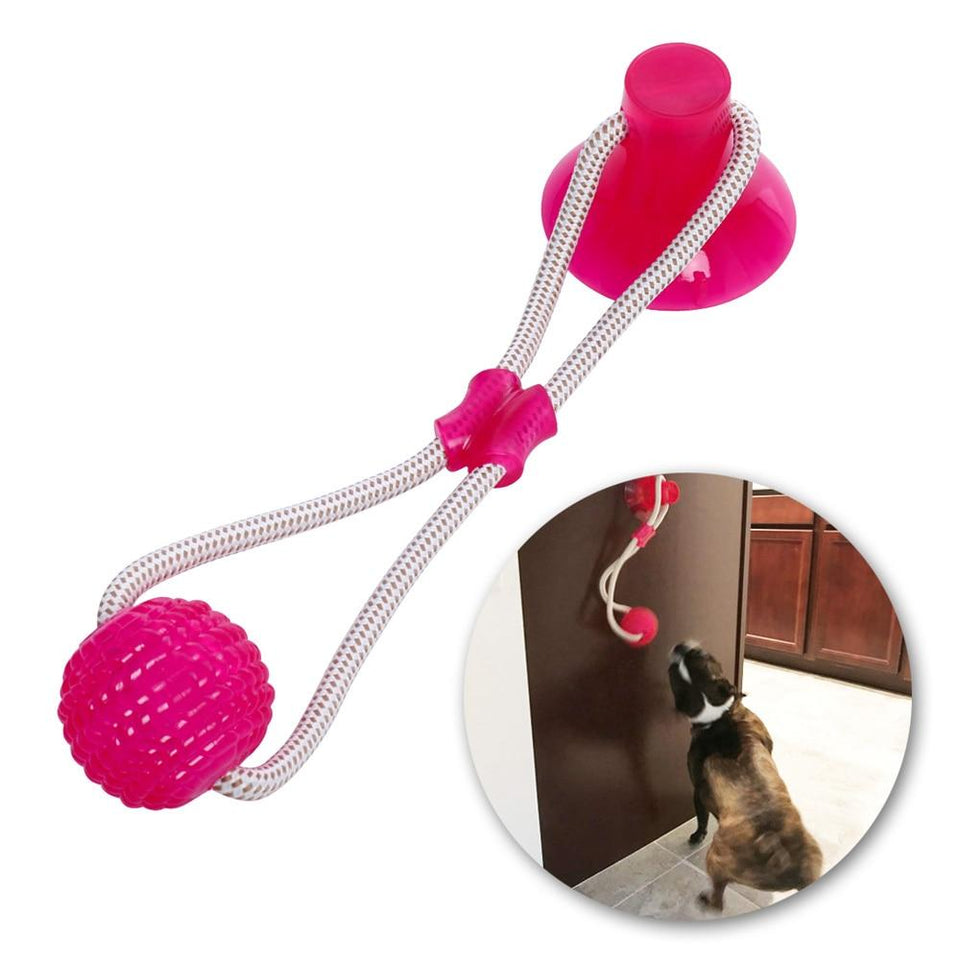 Multifunction Pet Molar Bite Dog Toys Rubber Chew Ball Cleaning Teeth Safe Elasticity TPR Soft Puppy Suction Cup Biting Dog Toy - ObeyKart
