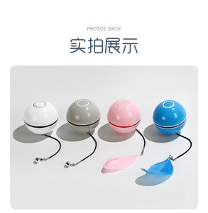 Funny Colorful Electric  LED Cat Toy - BRANDNMART