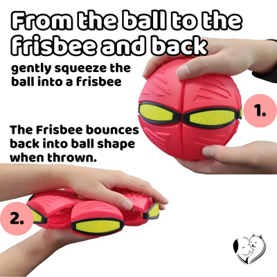 -50% Magic Dog Ball - BRANDNMART