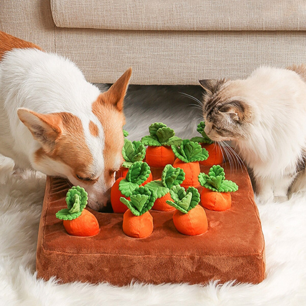 Sniffable Carrot Toy - BRANDNMART