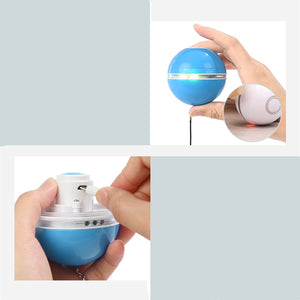 Funny Colorful Electric  LED Cat Toy - BRANDNMART