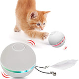 Funny Colorful Electric  LED Cat Toy - BRANDNMART
