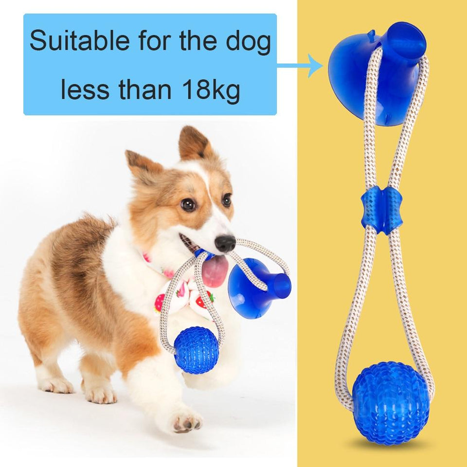 Multifunction Pet Molar Bite Dog Toys Rubber Chew Ball Cleaning Teeth Safe Elasticity TPR Soft Puppy Suction Cup Biting Dog Toy - ObeyKart