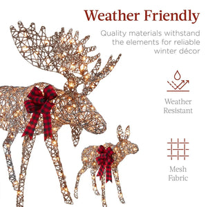 2-Piece Moose Family Lighted Outdoor Christmas Decoration Set w/ 170 Lights - BRANDNMART