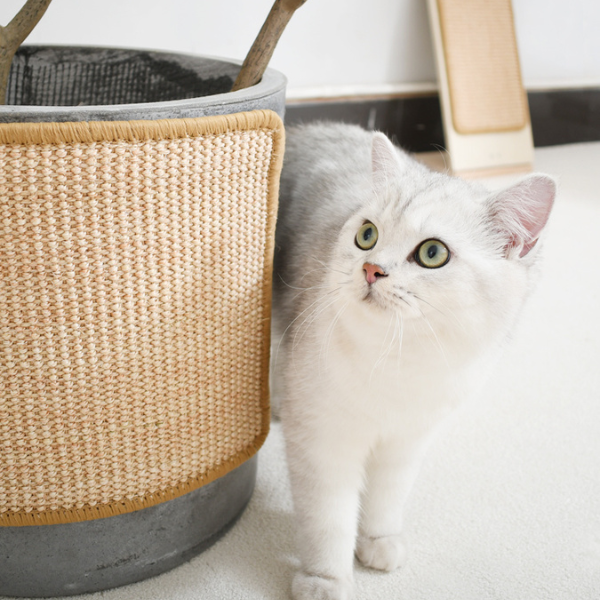 Scratch Carpet - BRANDNMART