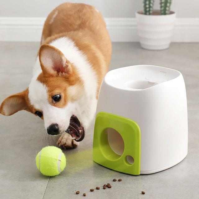 Automatic Dog Ball Launcher - BRANDNMART