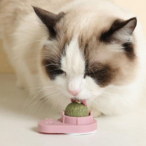 Natural Catnip Rotating Interactive Cat Toy - BRANDNMART