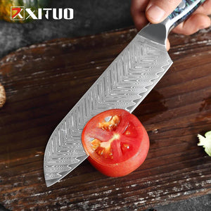 Chikashi  Damascus Steel knife